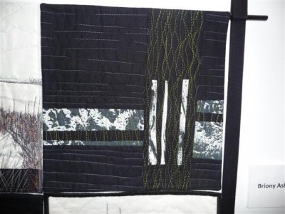festival of quilt birmingham 2009 142 (Small).jpg